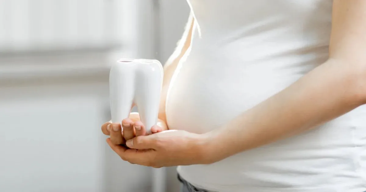 Zubi u trudnoći - devojka drži model zuba blizu svog stomaka.